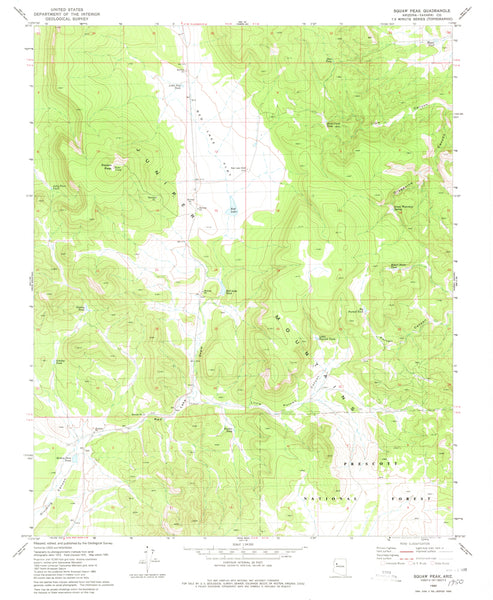 Squaw Peak, Arizona (7.5'×7.5' Topographic Quadrangle) - Wide World Maps & MORE!