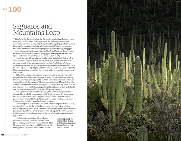 Scenic Drives: 100 of the Best Places to Explore Arizona by Car - Wide World Maps & MORE!