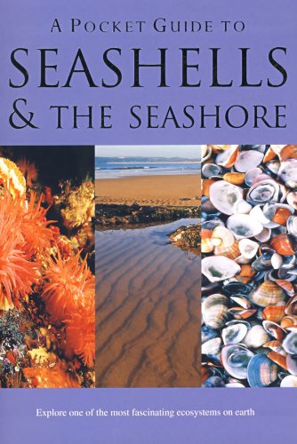 A Pocket Guide to Seashells & the Seashore (Pocket Guides) Hook, Patrick - Wide World Maps & MORE!
