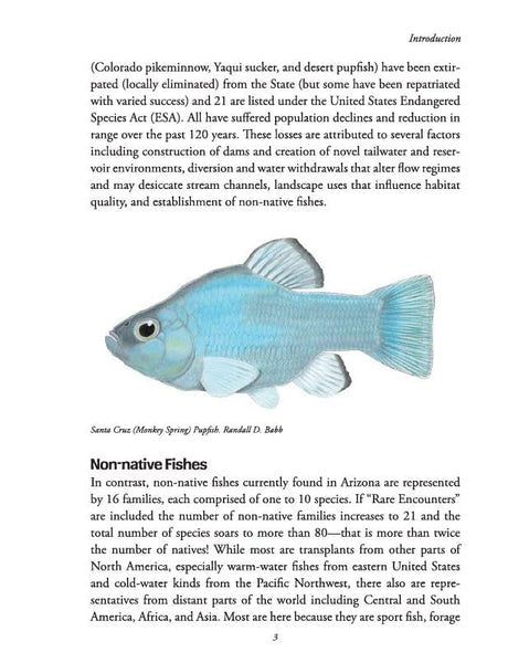 Field Guide to Fishes of the Grand Canyon State Paul C. Marsh, PhD and Robert W. Clarkson - Wide World Maps & MORE!