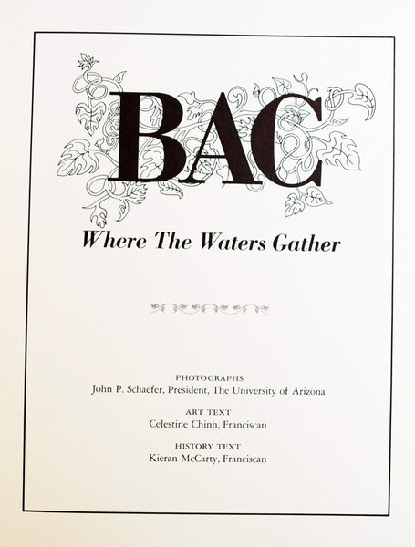 BAC: Where the Waters Gather [Paperback] CHINN, Celestine and Kieran McCarty - Wide World Maps & MORE!