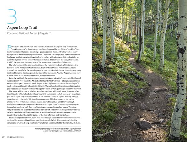 Summer Hiking Guide [Perfect Paperback] Robert Stieve - Wide World Maps & MORE!