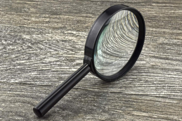 SE 4" 2x Handheld Magnifier - MH7013C - Wide World Maps & MORE!