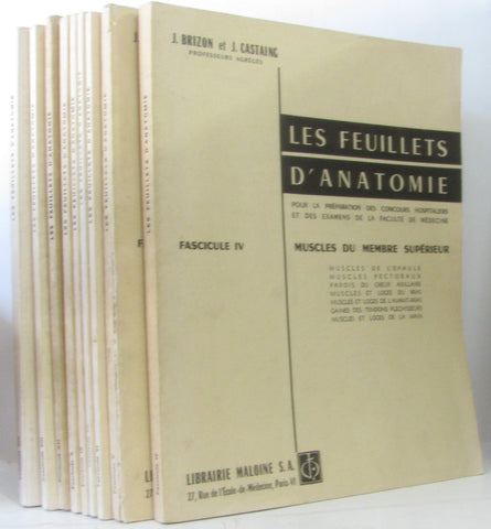 Les feuillets d'anatomie. Muscles du membre supérieur [Paperback] - Wide World Maps & MORE!