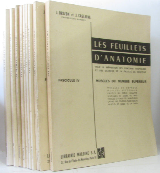 Les feuillets d'anatomie. Muscles du membre supérieur [Paperback] - Wide World Maps & MORE!