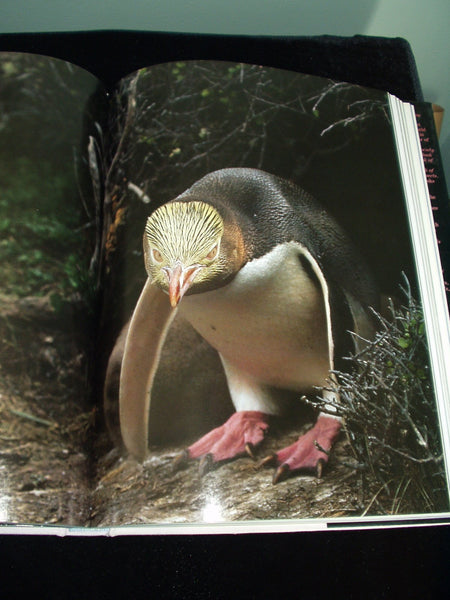 Audubon Book of Water Birds First edition by Line, Les (1998) Hardcover Line, Les - Wide World Maps & MORE!