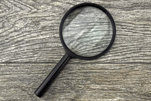 SE 4" 2x Handheld Magnifier - MH7013C - Wide World Maps & MORE!