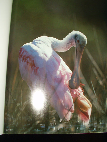Audubon Book of Water Birds First edition by Line, Les (1998) Hardcover Line, Les - Wide World Maps & MORE!