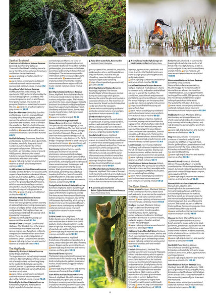 Philip's Navigator Scotland (Philip's Road Atlases) [Spiral-bound] Philip's Maps - Wide World Maps & MORE!