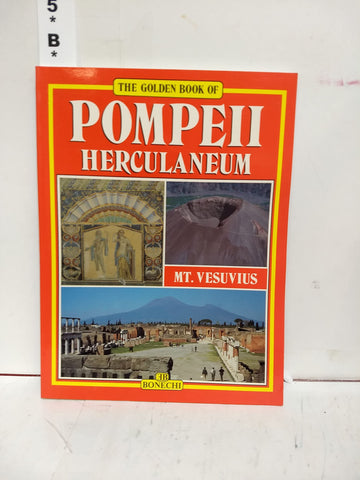 Pompeii, Herculaneum, Mt. Vesuvius (Bonechi Golden Book Collection) stefano-giuntoli - Wide World Maps & MORE!