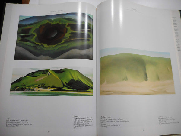 Georgia O'Keeffe: American Art Series Nancy Frazier - Wide World Maps & MORE!