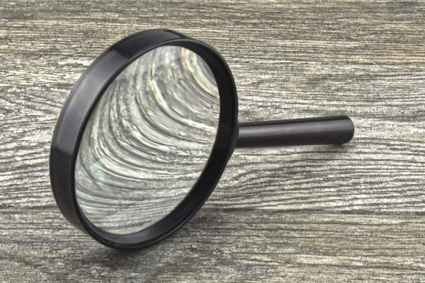 SE 4" 2x Handheld Magnifier - MH7013C - Wide World Maps & MORE!