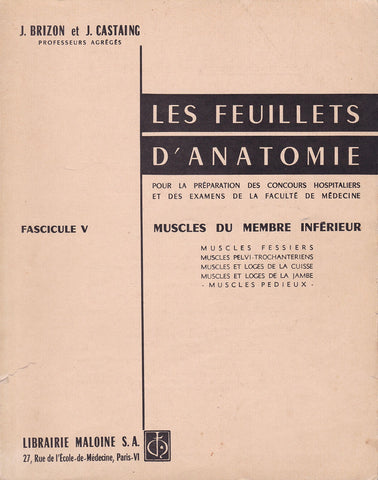 Les feuillets d'anatomie. Muscles du membre inférieur [Paperback] - Wide World Maps & MORE!