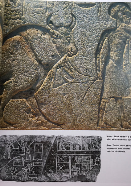 Lost Cities : 50 Discoveries in World Archaeology [Hardcover] Paul G Bahn - Wide World Maps & MORE!