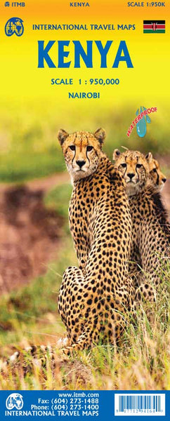 Kenya Travel Reference Map Waterproof 1:950K - Wide World Maps & MORE!