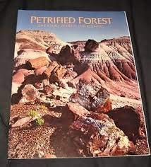 Petrified Forest the Story Behind the SC [Paperback] Sidney R Ash - Wide World Maps & MORE!