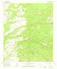 Mogollon, New Mexico (7.5'?7.5' Topographic Quadrangle) [Map] United States Geological Survey - Wide World Maps & MORE!
