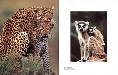 Frans Lanting. Eye to Eye - Wide World Maps & MORE!