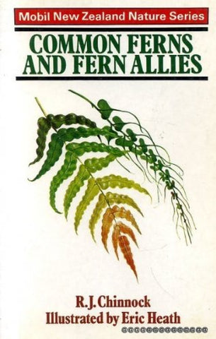 Common Ferns And Fern Allies - Wide World Maps & MORE! - Book - Wide World Maps & MORE! - Wide World Maps & MORE!