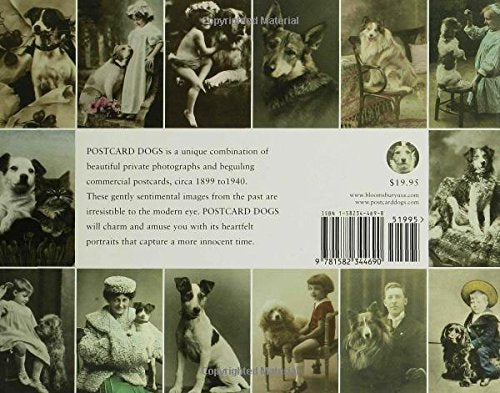 Postcard Dogs - Wide World Maps & MORE! - Book - Bloomsbury USA - Wide World Maps & MORE!
