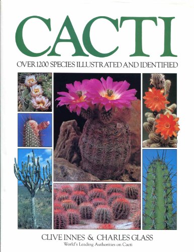 Cacti Glass, Innes - Wide World Maps & MORE!