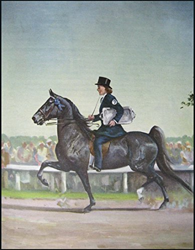 Album of Horses - Wide World Maps & MORE!