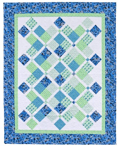 Take 5: Quilts from Just 5 Fabrics - Wide World Maps & MORE!