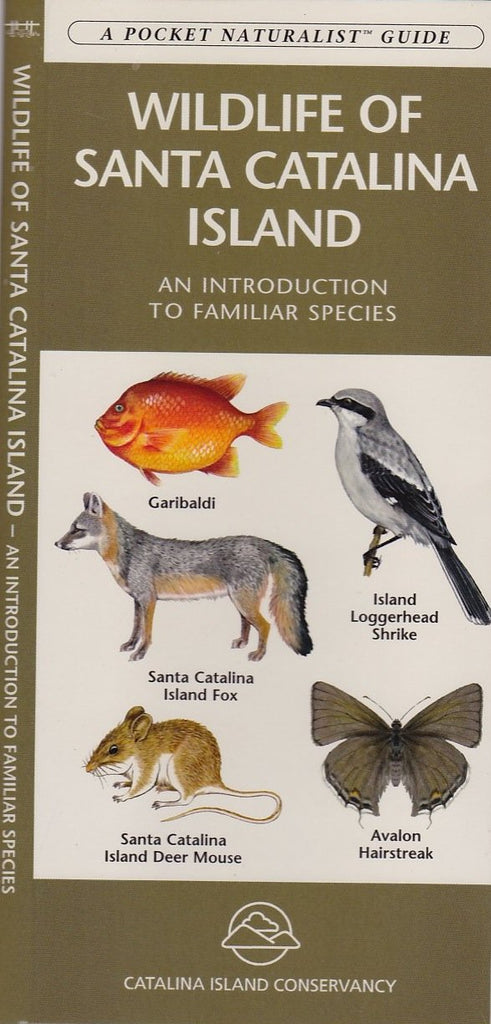Wildlife of Santa Catalina Island (A Pocket Naturalist Guide) - Wide World Maps & MORE! - Book - Wide World Maps & MORE! - Wide World Maps & MORE!