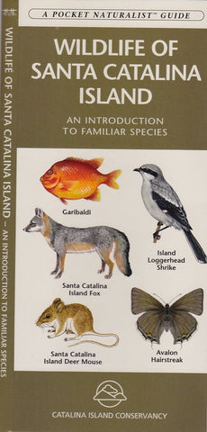 Wildlife of Santa Catalina Island (A Pocket Naturalist Guide) - Wide World Maps & MORE! - Book - Wide World Maps & MORE! - Wide World Maps & MORE!