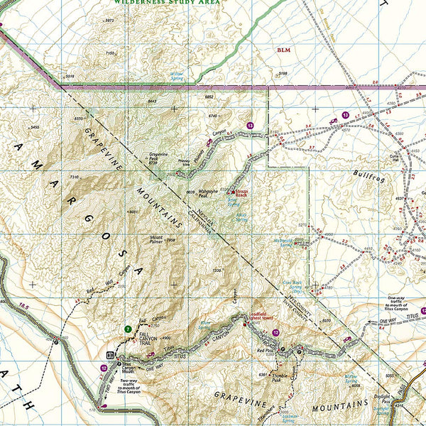 Death Valley National Park (National Geographic Trails Illustrated Map, 221) - Wide World Maps & MORE!