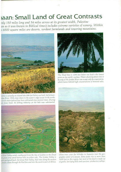 Readers Digest Great People Of The Bible And How They Lived [Hardcover] G. Ernest Wright - Wide World Maps & MORE!