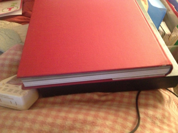 The Viking - Wide World Maps & MORE! - Book - Wide World Maps & MORE! - Wide World Maps & MORE!