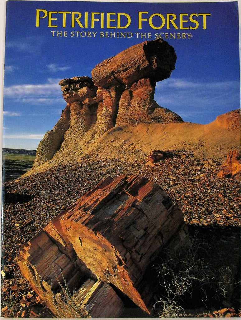 Petrified Forest: The Story Behind the Scenery - Wide World Maps & MORE! - Book - Wide World Maps & MORE! - Wide World Maps & MORE!