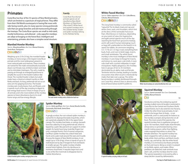 DK Eyewitness Costa Rica (Travel Guide) - Wide World Maps & MORE! - Book - EYEWITNESS - Wide World Maps & MORE!